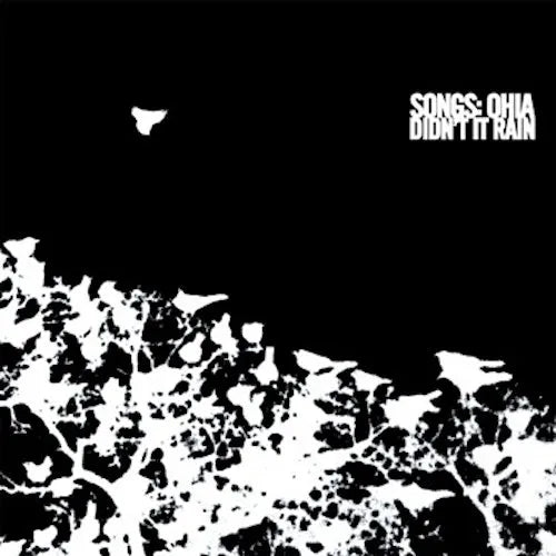 Songs: Ohia - Didn't It Rain - Eco Color Vinyl Record