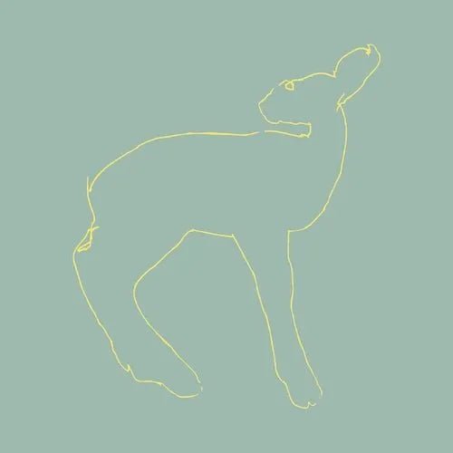 Songs: Ohia - Hecla & Griper (Reissue) - Vinyl Record