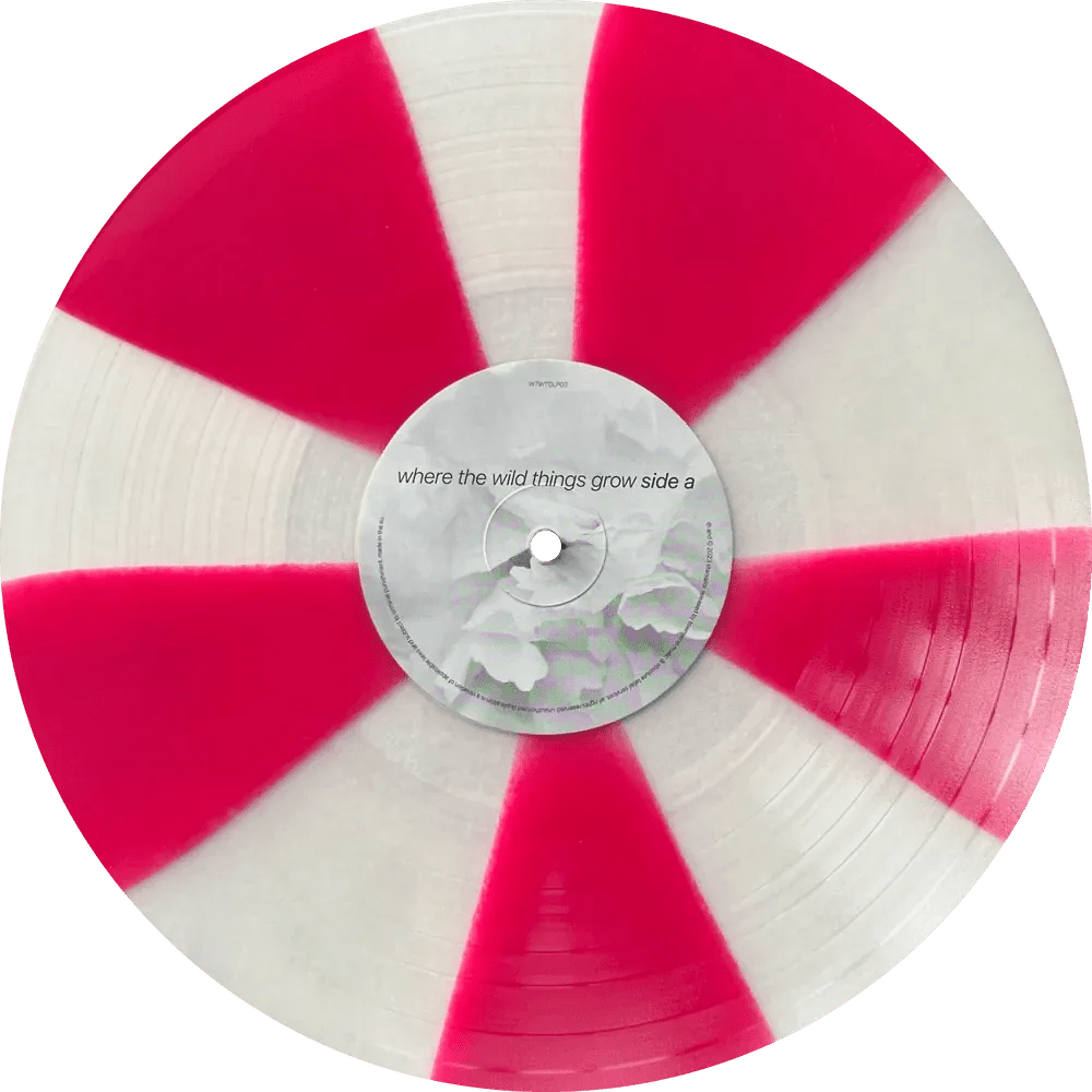 Starsailor - Where The Wild Things Grow - Pinwheel Red and Transparent Color Vinyl Record
