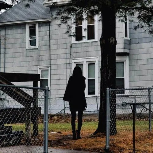 Tallest Man on Earth, The - Dark Bird Is Home [Black Vinyl]