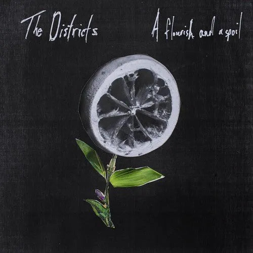 The Districts - A Flourish and a Spoil - Vinyl Record rockit-t-shirts.myshopify.com #Indie_Vinyl_Den#