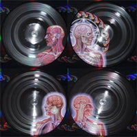 Tool - Lateralus - 2x Picture Disc Vinyl  Record * rockit-t-shirts.myshopify.com #Indie_Vinyl_Den#