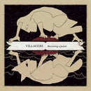 Villagers - Becoming a Jackyl - Vinyl Record 2LP rockit-t-shirts.myshopify.com #Indie_Vinyl_Den#