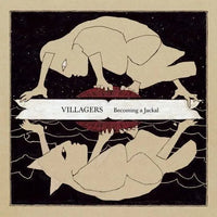 Villagers - Becoming a Jackyl - Vinyl Record 2LP rockit-t-shirts.myshopify.com #Indie_Vinyl_Den#