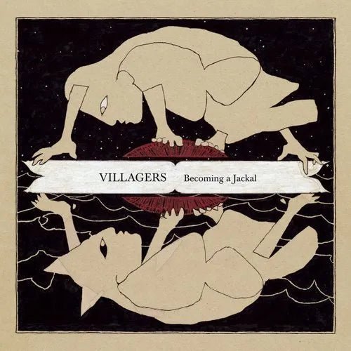 Villagers - Becoming a Jackyl - Vinyl Record 2LP rockit-t-shirts.myshopify.com #Indie_Vinyl_Den#