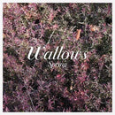 Wallows - Spring - Pink & Green Color Vinyl Record LP * rockit-t-shirts.myshopify.com #Indie_Vinyl_Den#