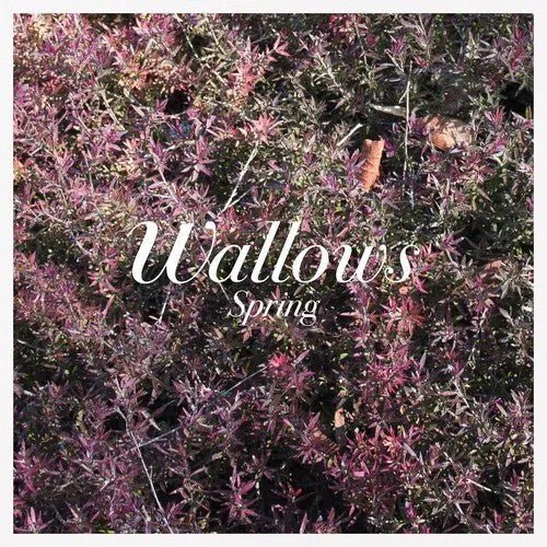 Wallows - Spring - Pink & Green Color Vinyl Record LP * rockit-t-shirts.myshopify.com #Indie_Vinyl_Den#