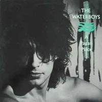 Waterboys - A Pagan Place Vinyl Record (2002 Digital Remaster 180g) rockit-t-shirts.myshopify.com #Indie_Vinyl_Den#