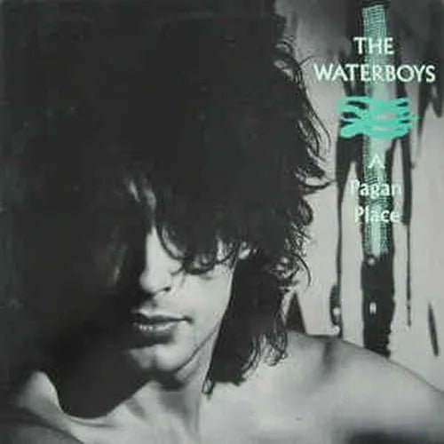 Waterboys - A Pagan Place Vinyl Record (2002 Digital Remaster 180g) rockit-t-shirts.myshopify.com #Indie_Vinyl_Den#