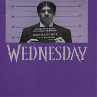 Wednesday Mug Shot Purple T-Shirt rockit-t-shirts.myshopify.com #Indie_Vinyl_Den#
