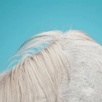 Widowspeak - All Yours - Vinyl Record rockit-t-shirts.myshopify.com #Indie_Vinyl_Den#