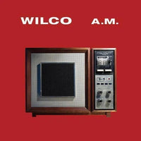 Wilco -A.M. Vinyl Record (2LP Deluxe Edition) rockit-t-shirts.myshopify.com #Indie_Vinyl_Den#