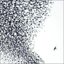 Wilco - Sky Blue Sky (180 Gram Vinyl) (2LP) * rockit-t-shirts.myshopify.com #Indie_Vinyl_Den#