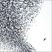 Wilco - Sky Blue Sky (180 Gram Vinyl) (2LP) * rockit-t-shirts.myshopify.com #Indie_Vinyl_Den#