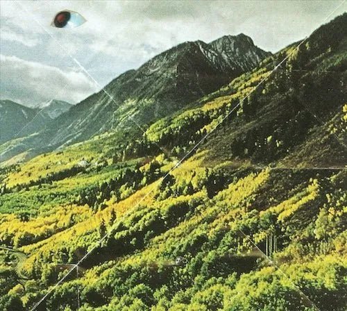 Woods - Songs of Shame - Vinyl Record