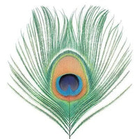 XTC - Apple Venus Volume I - Vinyl Record LP 200g Import rockit-t-shirts.myshopify.com #Indie_Vinyl_Den#