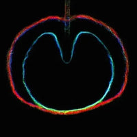 XTC - Wasp Star - Apple Venus Volume 2 - Vinyl Record LP 200g Import rockit-t-shirts.myshopify.com #Indie_Vinyl_Den#