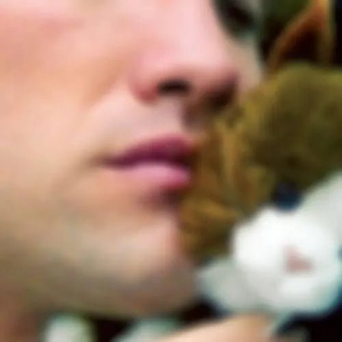 Xiu Xiu - Fabulous Muscles Vinyl Record