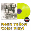 **Nuevo producto DROPSHIP: Disco de vinilo 