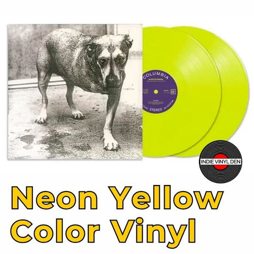 **Nuevo producto DROPSHIP: Disco de vinilo 