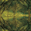 Band of Horses - Everything All the Time (20th Anniversary) - Metallic Gold Color Vinyl