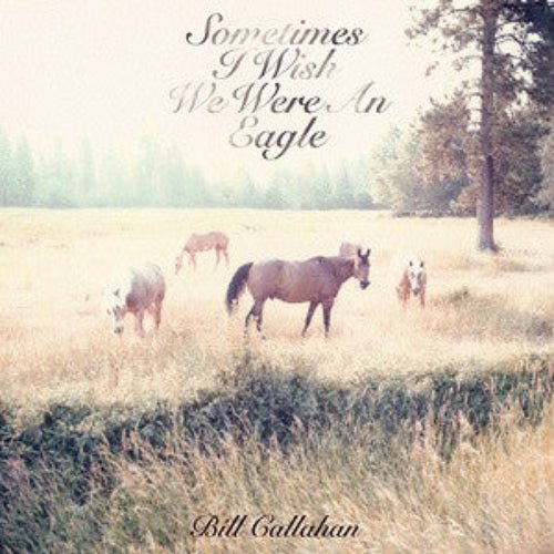 Bill Callahan - Sometimes I Wish We Were an Eagle - Vinyl Record