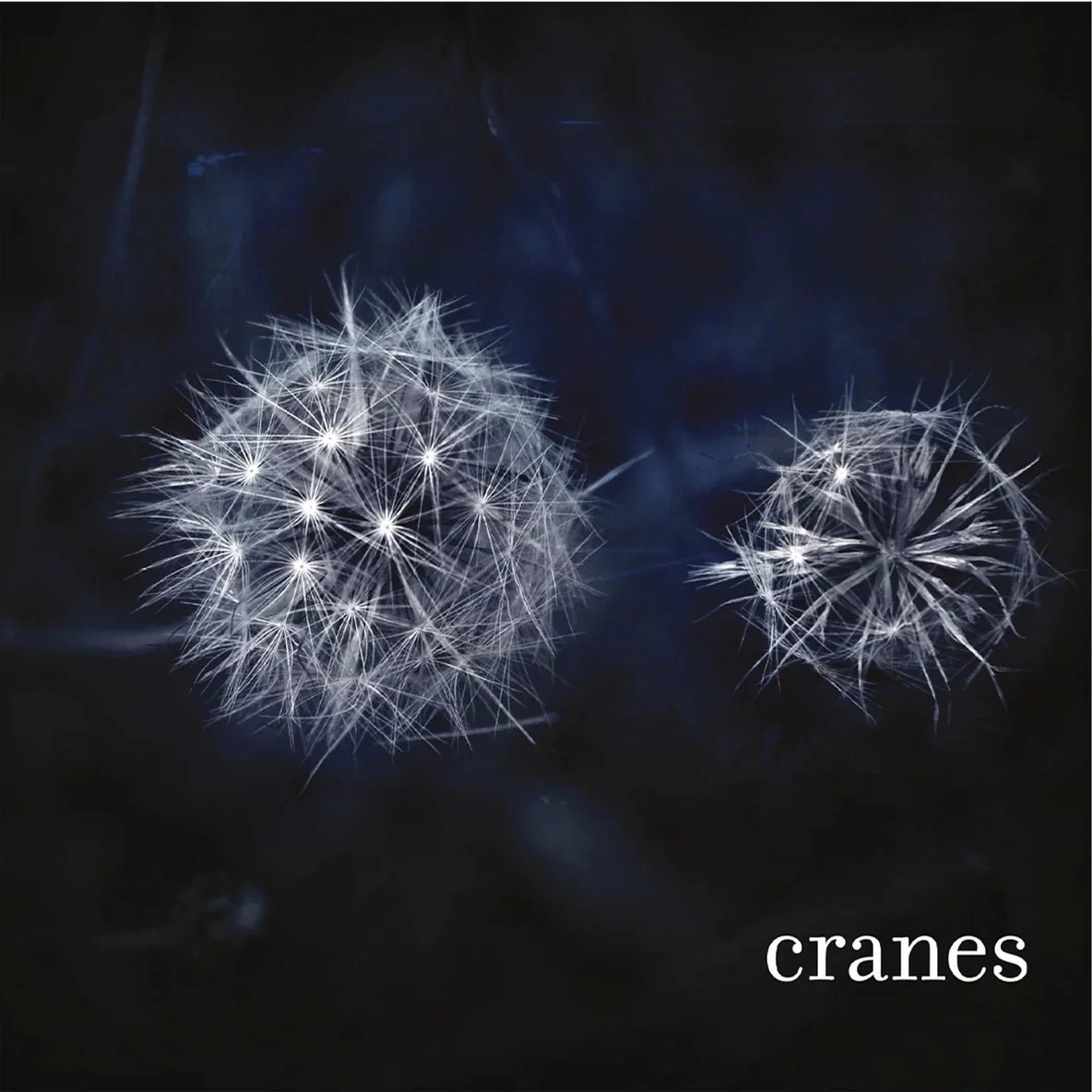 Cranes Cranes - Silver Marble Color Vinyl Record
