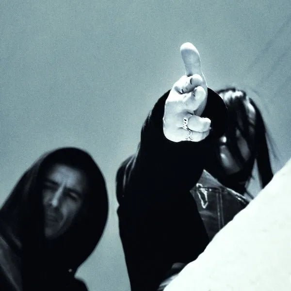 **Nuevo disco de vinilo de vinilo