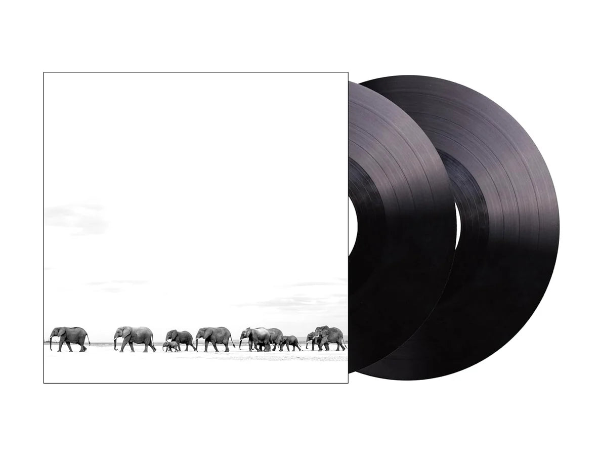 Dave Matthews Band  Where Are You Going: The Singles Vinyl Record *