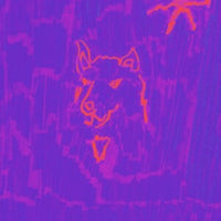 DEHD - Poetry - Vinyl Record - Indie Vinyl Den