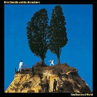 Elvis Costello and The Attractions - Goodbye Cruel World - Vinyl Record - Indie Vinyl Den