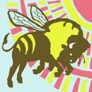 Format, The - B-Sides and Rarities - Vinyl Record 2LP