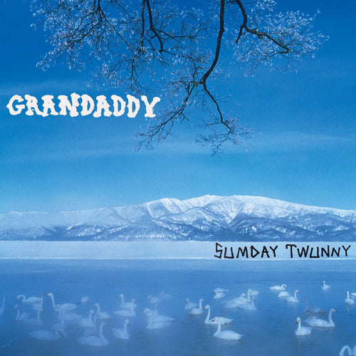 Grandaddy - Sumday: Twunny - Vinyl Record 4LP Box