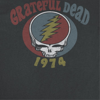 Grateful Dead Tour 73 Color T-Shirt - Indie Vinyl Den