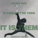 Guided By Voices - It's Not Them. It Couldn't Be Them. It Is Them! Vinyl Record LP rockit-t-shirts.myshopify.com #Indie_Vinyl_Den#