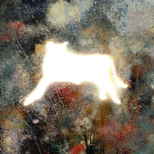 **Nuevo disco de vinilo de vinilo