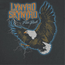 Lynyrd Skynyrd Free Bird Lightning Black T-Shirt - Indie Vinyl Den