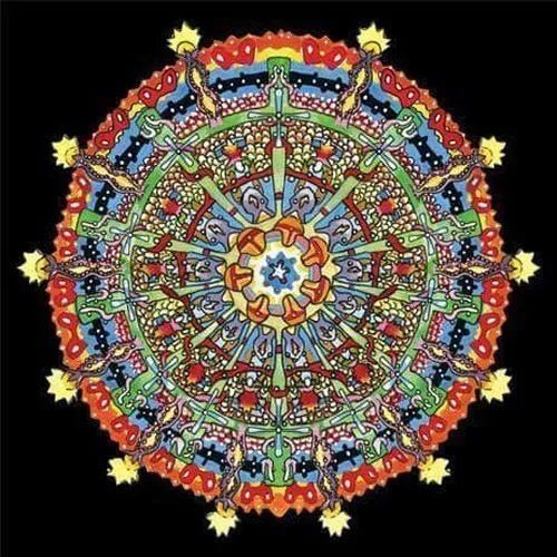 of Montreal - Hissing Fauna, Are You the Destroyer? [2xLP 180-Gram Red/Yellow Color Vinyl] rockit-t-shirts.myshopify.com #Indie_Vinyl_Den#
