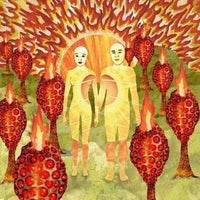 of Montreal The Sunlandic Twins [2xLP 180-Gram Red/Orange Swirl Color Vinyl] rockit-t-shirts.myshopify.com #Indie_Vinyl_Den#