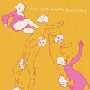 Clap Your Hands Say Yeah (20th Anniversary Edition) - Vinyl Record - Indie Vinyl Den