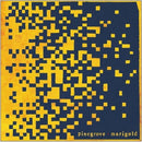 Pinegrove - Marigold - Yellow Color Vinyl Record