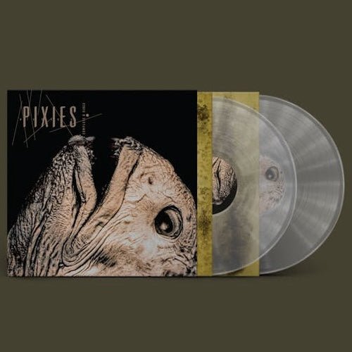 Pixies - Complete B Sides: 1988-97 - Clear Color Vinyl Record [Pre-Order]