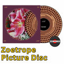 Richard Hawley - Coles Corner: 20th Anniversary - Zoetrope Picture Disc Vinyl Record * - Indie Vinyl Den