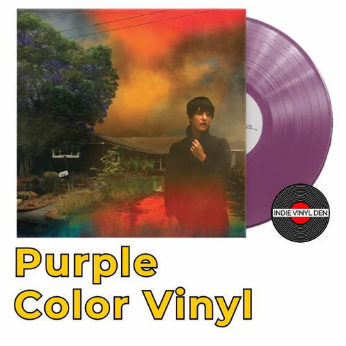 Sharon Van Etten - We've Been Going About This All Wrong - Purple Color Vinyl Record