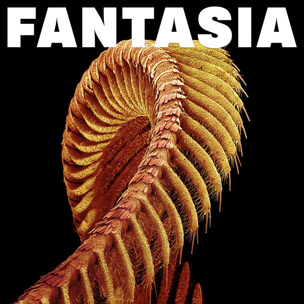 Slift - Fantasia - Yellow Color Vinyl Record