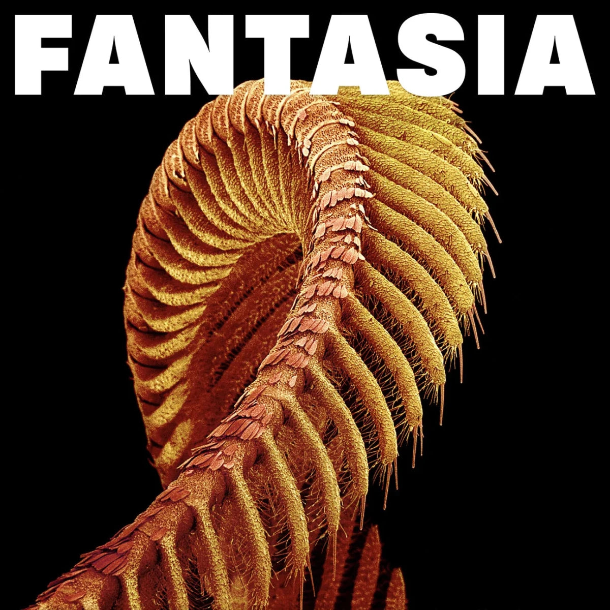 Slift - Fantasia - Yellow Color Vinyl Record