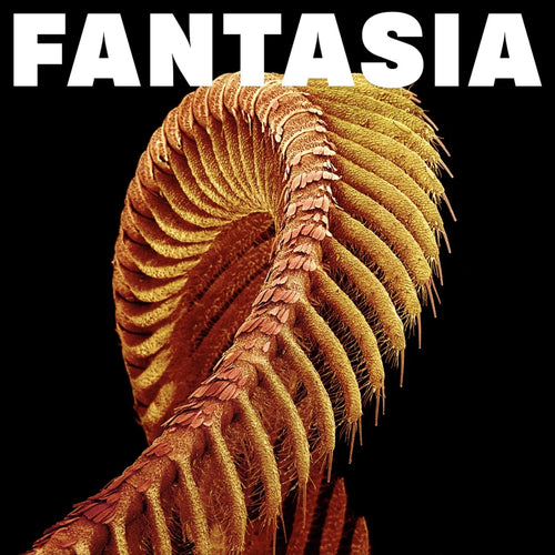 Slift - Fantasia - Yellow Color Vinyl Record