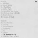 Sylvan Esso - No Rules Sandy - Vinyl Record - Indie Vinyl Den