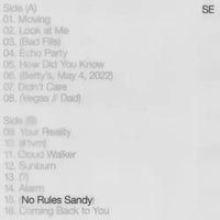 Sylvan Esso - No Rules Sandy - Vinyl Record - Indie Vinyl Den