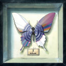 tricot - 3 - Paper White Clear Blue Color Vinyl 180g * rockit-t-shirts.myshopify.com #Indie_Vinyl_Den#